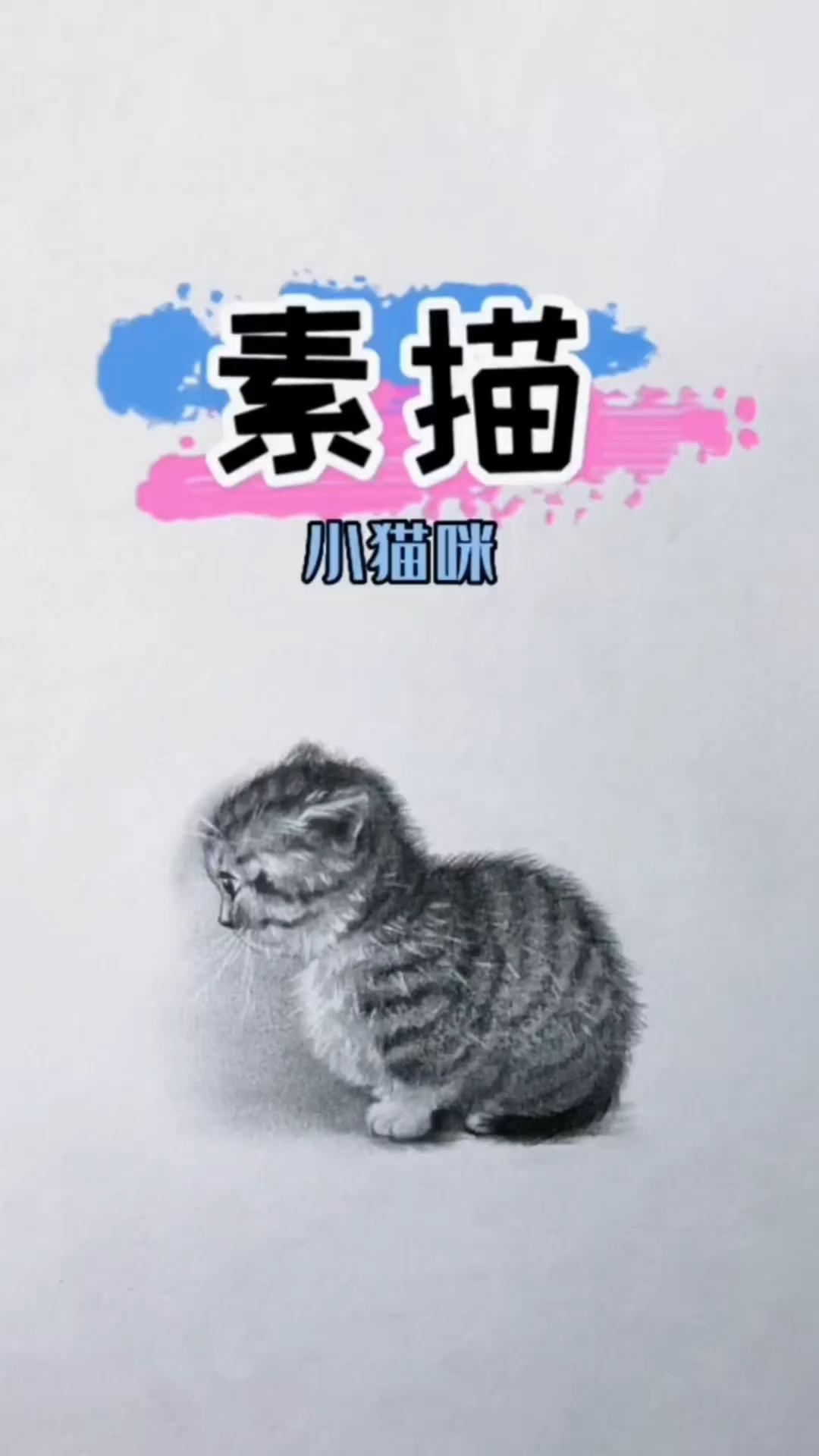 【素描】小猫咪怎么画？